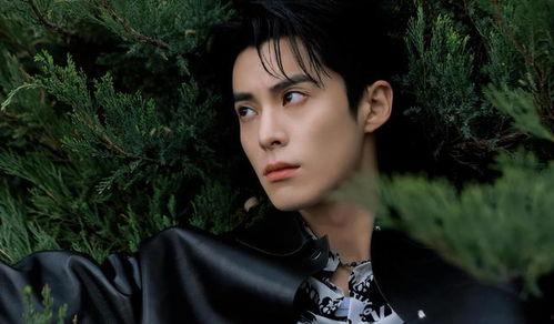 王鹤棣大瓜最新爆料视频,娱乐圈惊人内幕曝光